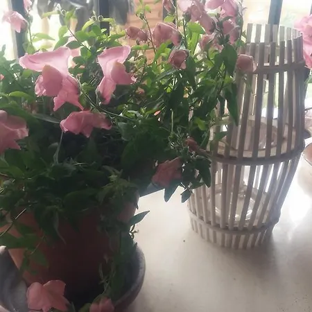 El Manantial Bed & Breakfast El Higueron